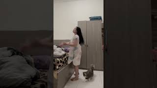 Download lagu INI IDAMAN BANGET WOII | NYESEL SIHH KALO GAK NONTON mp3 Download lagu INI IDAMAN BANGET WOII | NYESEL SIHH KALO GAK NONTON mp3