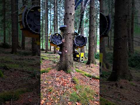Tree Hugger Harvester: Precision Tree Felling in Action 🌲🚜