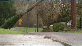 Olympia power outages