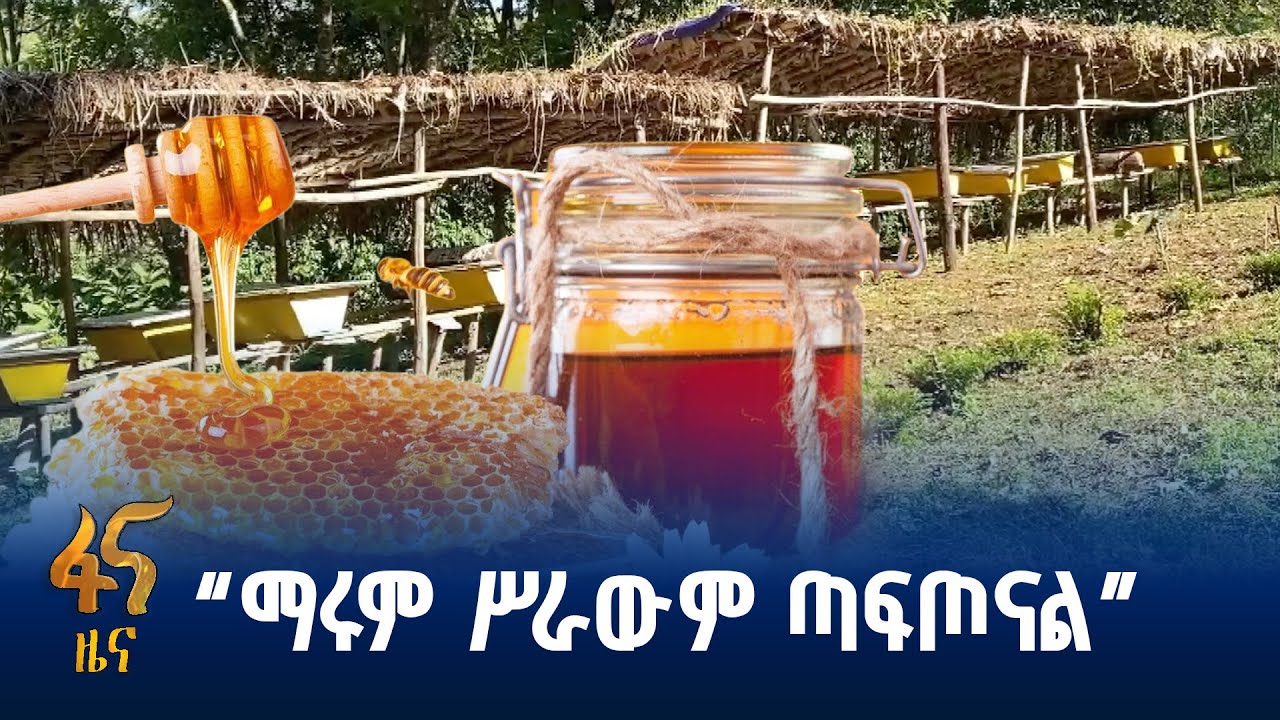 የንብ አናቢ አርሶ አደሮች በዘመናዊ አሰራር