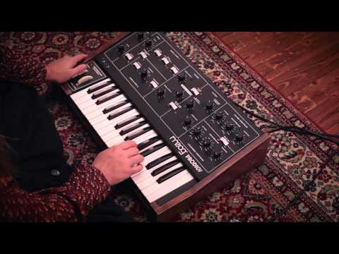 Klangteppich [music] - Moog Prodigy and Roland Space Echo
