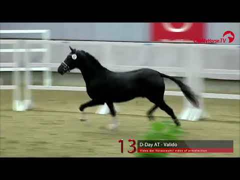 13 Junghengst v. D-Day AT - Valido