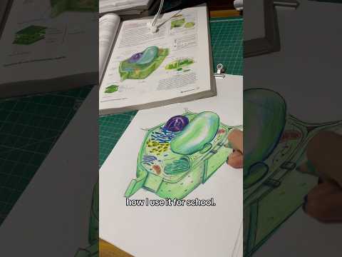 #art #myartistlife #artandcraft #workingartist #artdrawing #sketch #artform #artist #lifeisanart