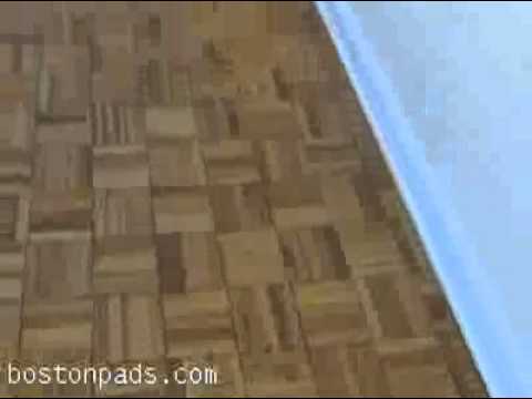 Boston Apartments - Brookline Apartment -�Extraordinary apartment for rent!