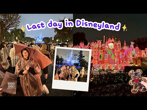 Disneyland California Day 3 ✨☔️ Rainy final day in the parks & first day of the holidays 2025 🎁🎄🥺