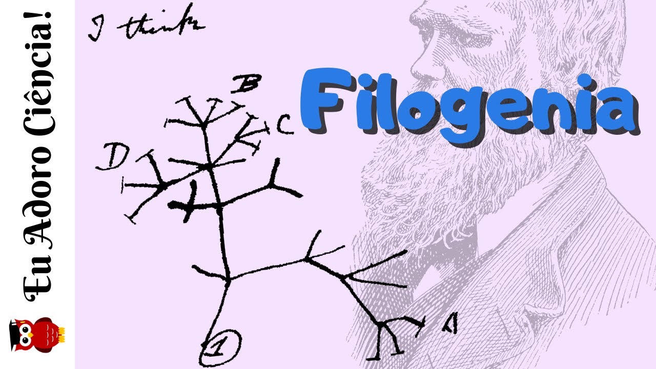Filogenia