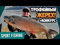 ЖЕРЕХИ ПО 5 КГ РВУТ СНАСТЬ! Ловля крупного ЖЕРЕХА на спиннинг весной! Приманка УБИЙЦА ЖЕРЕХА! ЖЕРЕХИ ПО 5 КГ РВУТ СНАСТЬ! Ловля крупного ЖЕРЕХА на спиннинг весной! Приманка УБИЙЦА ЖЕРЕХА!