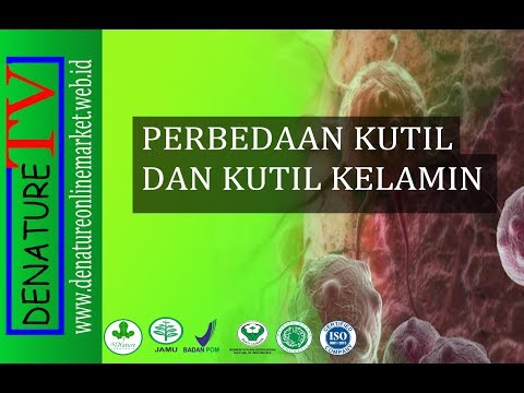 a rák klónikus úton terjed hpv vakcina kuching
