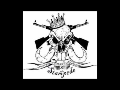 Everyone A Bleed - Silent Screams and Dry Tears - Amadeus The Stampede