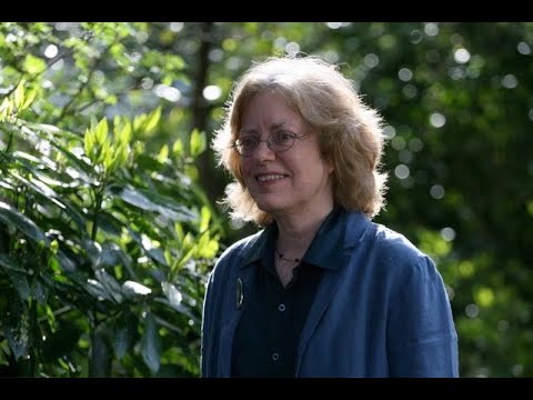 Jane O'Leary: Forever Begin