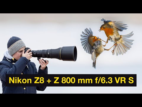 Nikon Z8 + Z 800 mm f/6.3 VR S - Meine Eindrücke als Naturfotograf