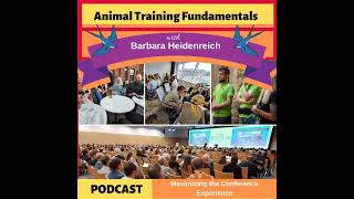 39 - Maximizing the Conference Experience