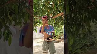 QUANDO NOIA VENDÊ O PRODUNTO E PROBLEMAS JUNTO #humor #comedia