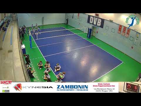 Serall DVB Verde U13F