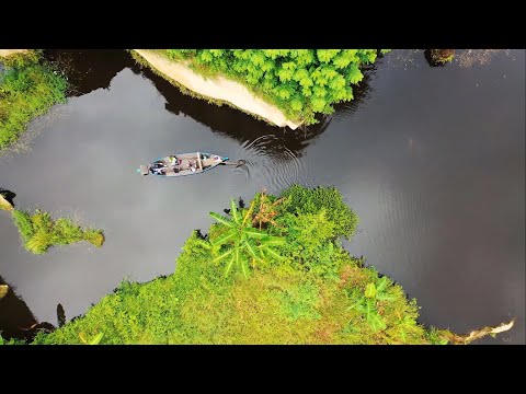 Aerial View Of A Boat, Stunning Aerial Views, Stunning Forests From Above, On Youtube :)
