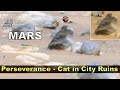 MARS Perseverance - Carved Cat in City Ruins - ArtAlienTV