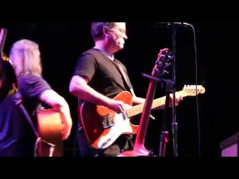 The Violent Femmes Perform 