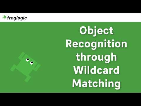 Object Recognition through Wildcard Matching