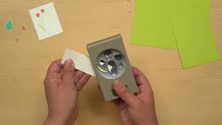 Varied Vases Video