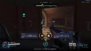 Overwatch　パッション