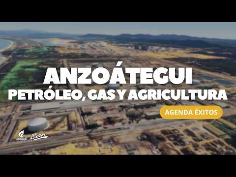 Comportamiento Económico: Anzoátegui