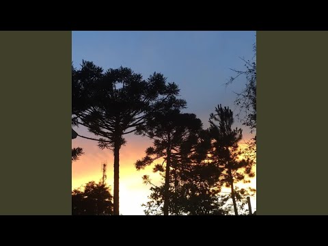 DINHO REGIS - Topic