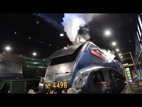 A4 Whistle Compilation