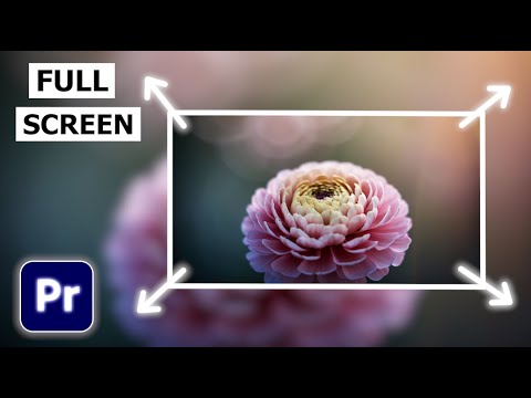 How to View Full Screen Preview In Premiere Pro | Full Screen Playback Tutorial
