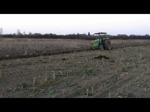 La arat in Culciu Mare