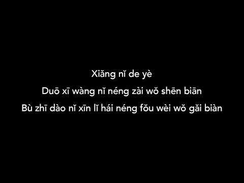 Xiang Ni De Ye (Karaoke) Lower Key