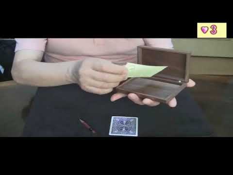 Changing Card Case by Mikame