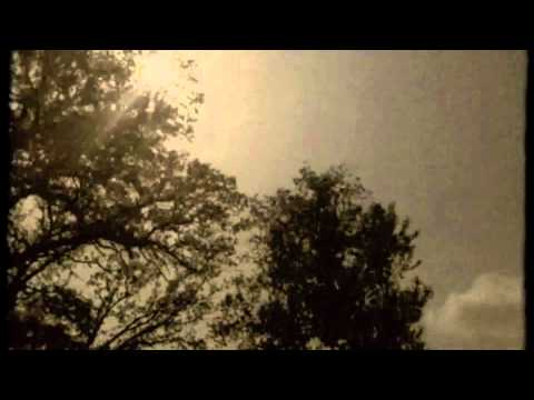 Sara Masterson - Beauty Without Thorns