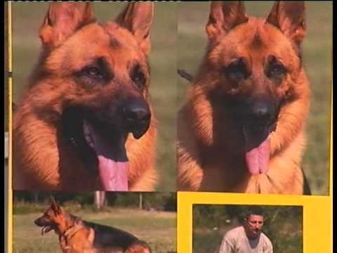 Gordan Škaro - Karte na stol 09 01 2012