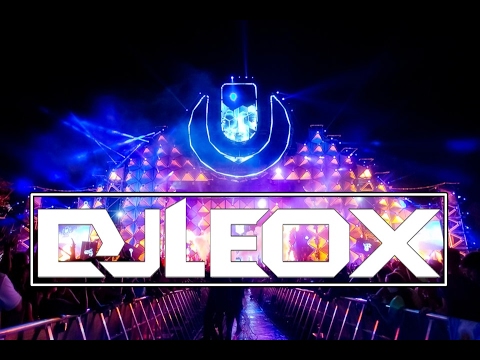 Fedde Le Grand - Don't Give Up - mashup Leo X