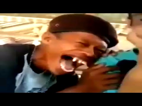 try not to die laughing part 2