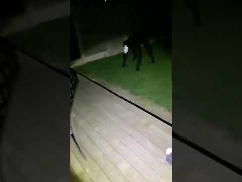 Song is Cbat btw! #demon #milkdemon #thirstydemon #meme #memes #spooky #scp #creature #monster