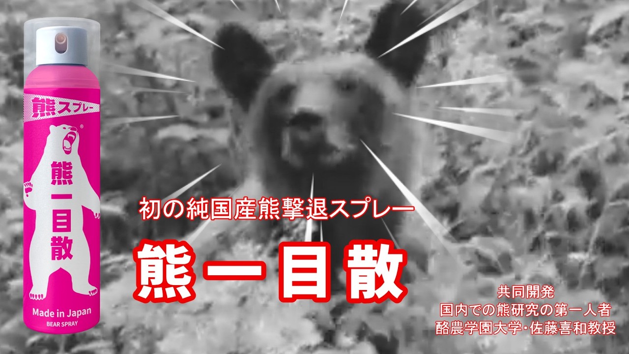 熊撃退スプレー【 熊一目散 】商品詳細は概要欄のリンクからご覧ください。　　　　　　　　　　#Bear #熊 #熊と遭遇 #ヒグマ #ツキノワグマ #熊撃退スプレー#くま＃クマ