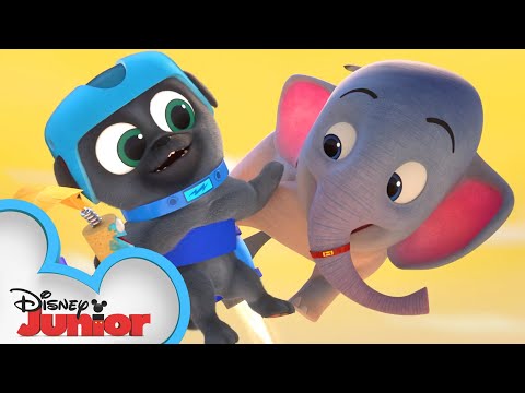 ビンゴとローリーがアフリカへ！？  | パピー・ドッグ・パルズ｜ディズニー・ジュニア (Bingo and Rolly Go to Africa ?  | Puppy Dog Pals | Disney Junior)