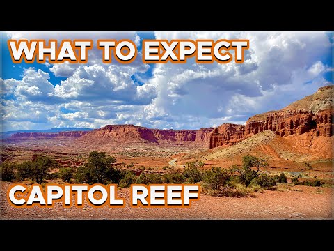 Aktivitäten im Capitol Reef Nationalpark | Wo übernachten + Was erwartet Sie?
