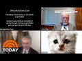 Lawyer Who Couldn T Turn Off Cat Filter In Zoom I Don T Know How It Got On TODAY