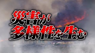 ニッチ回ラストです - 災害は生物多様性を生み出す。