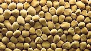 Arvo Pärt- Nunc Dimittis-Estonian Philharmonic Chamber Choir