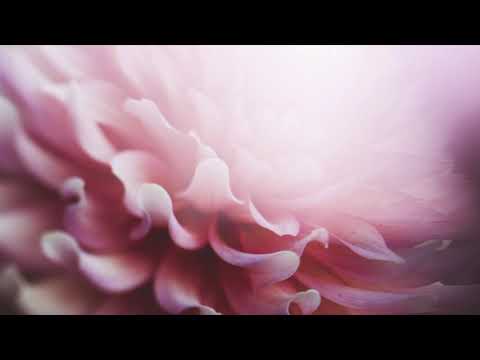 Sex?  In Gottes Willen! Frauenkonferenz 2017