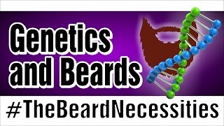 Beards and Genetics | #TheBeardnecessities | Ep 24