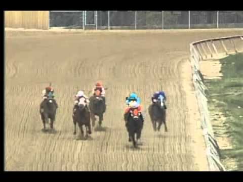 Pimlico 05/09/13 Race 2