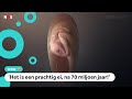 Bijna complete babydino ontdekt