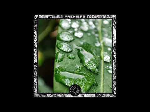 PREMIERE: John Plaza - Puma [LL001]