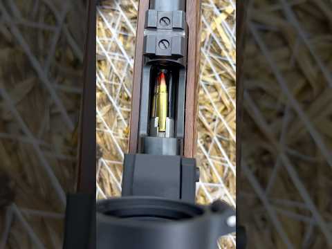 Pump Action Works Great