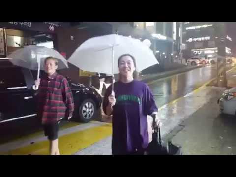 던밀스 우산 갖다주는 넉살