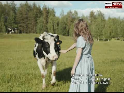 Këngë Labe -Te rrugica me kalldrëm dola moj dola - Grupi i Tragjasit